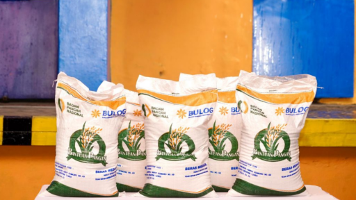 Langkah Mudah Cara Cek Pencairan Bansos Beras 10 Kg 2025!