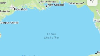 Apple Maps Bakal Tiru Google: Teluk Meksiko Jadi Teluk Amerika?