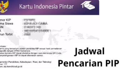 Berikut Jadwal Pencairan PIP 2025 Bulan Februari yang Harus Diketahui!