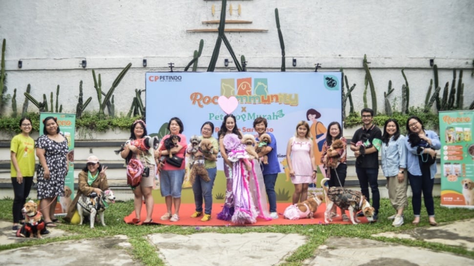 Cleofest dan Roccomunity: Serunya Interaksi Pecinta Kucing & Anjing!