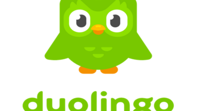 Duo Si Burung Hantu Duolingo Mati, Ini Respons Lucu Pengguna!