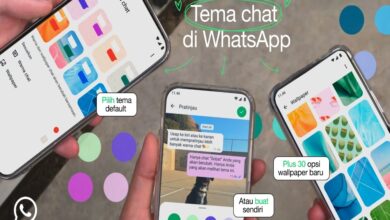 Fitur Baru! Cara Mengubah Tema dan Latar Belakang Chat WhatsApp