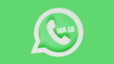 GB Whatsapp Pro APK Versi Terbaru 2025: Download Gratis Di Sini!