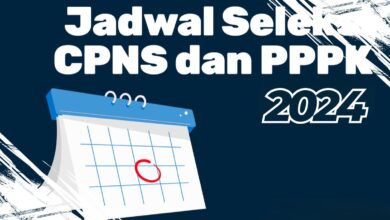 Jadwal Seleksi PPPK 2024, Ini Daftar Tanggal Penting yang Wajib Diketahui