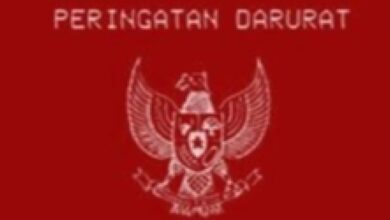 Peringatan Darurat Garuda Merah Trending: Apa Makna Alarm Ini?