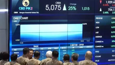 BEI Bicara Prospek IPO 2025 di Tengah Gejolak IHSG: Apa Harapan?