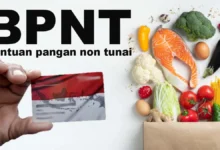 BPNT 2025 Cair! Cek NIK KTP Penerima Secara Praktis di Sini!