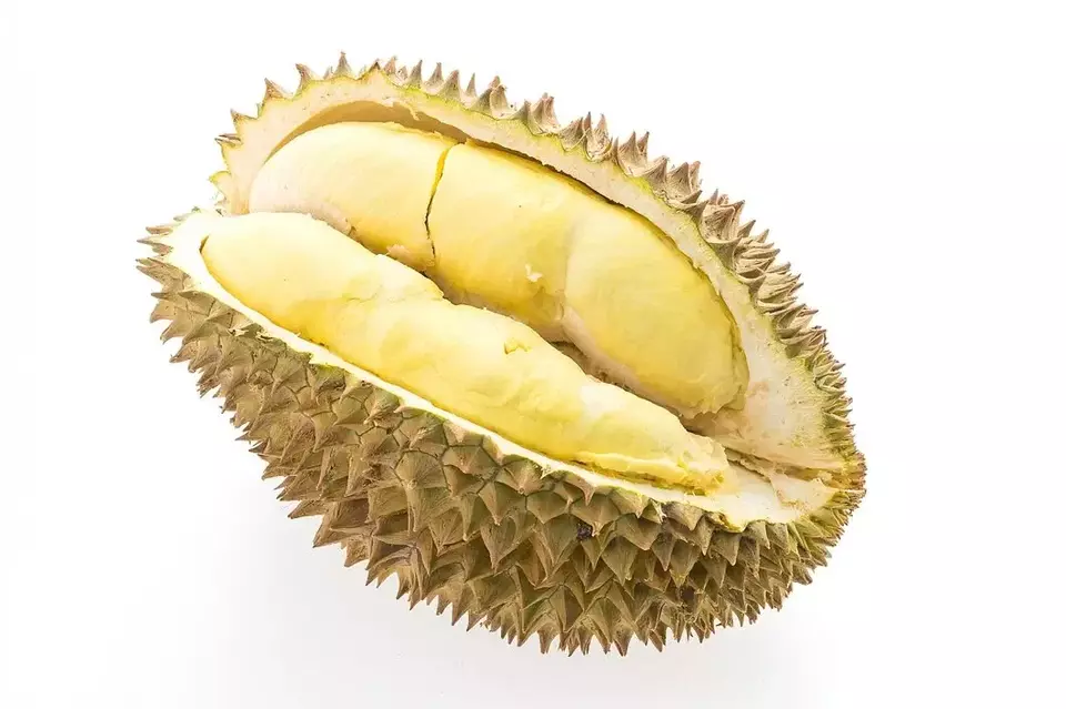 Bolehkah Mengonsumsi Durian Saat Perut Kosong? Ini Faktanya!