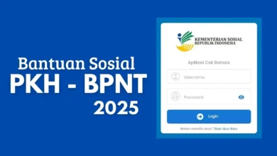 Cek Bansos PKH 2025: Cara Praktis Daftar PKH Online Lewat HP