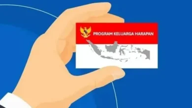 Cek Bansos PKH 2025! Dapatkan Rp.750 Ribu untuk Ibu Hamil!