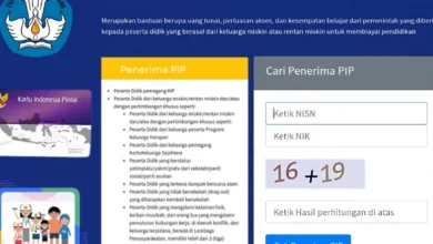 Dana PIP 2025 Sudah Cair! Segera Cek Status Penerimaanmu!