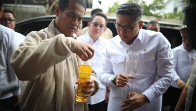 Harta Kekayaan Andi Amran Sulaiman Terungkap di LHKPN: Kecurangan Minyakita