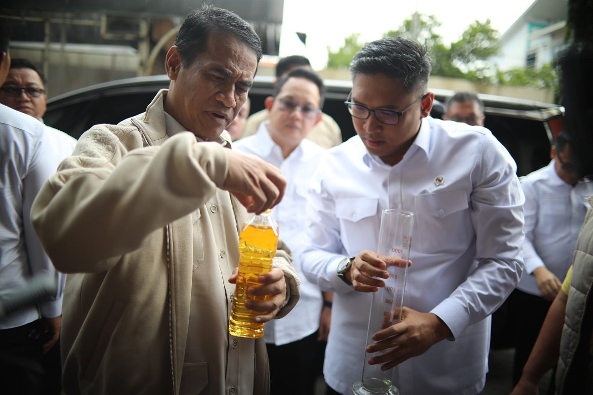 Harta Kekayaan Andi Amran Sulaiman Terungkap di LHKPN: Kecurangan Minyakita