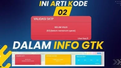 Ini Arti Kode 02, 04, 06, 07, 08, 13, 16, 17, 19 di Info GTK TPG 2025!