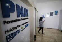 PNM dan Entitas Anak Raih Laba Rp1,49 Triliun di 2024!