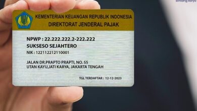 Panduan Praktis: Cara Mudah Daftar NPWP Perseorangan & Perusahaan 2025