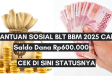 Saldo BLT Dana Desa Rp600.000 Segera Cair, Cek PIP 2025!