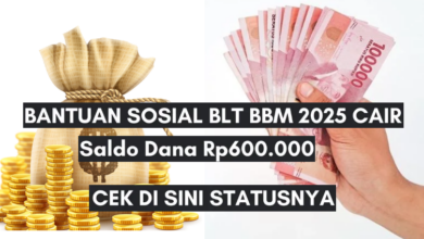 Saldo BLT Dana Desa Rp600.000 Segera Cair, Cek PIP 2025!