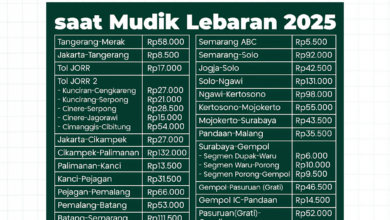 Tarif Tol Trans Jawa 2025: Ini Dia Harga untuk Kendaraan Golongan 1 Saat Mudik Lebaran!