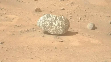 Temuan Batu Panah di Mars: Jejak Kehidupan Mikroba Purba Terungkap?