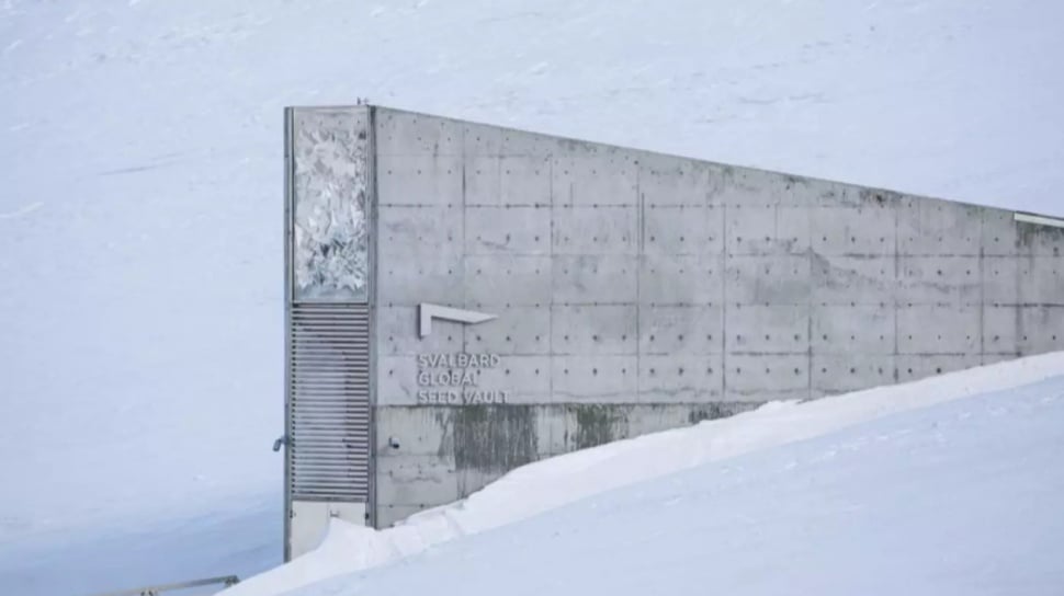 Terungkap! Penampakan Menakjubkan Gudang Benih 'Kiamat' Svalbard