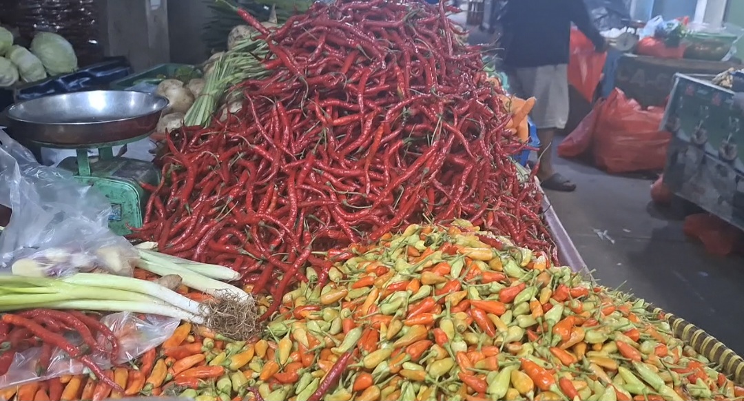 Turun Rp20 Ribu per Kg, Harga Cabai Rawit Pangkalpinang Masih Tinggi!