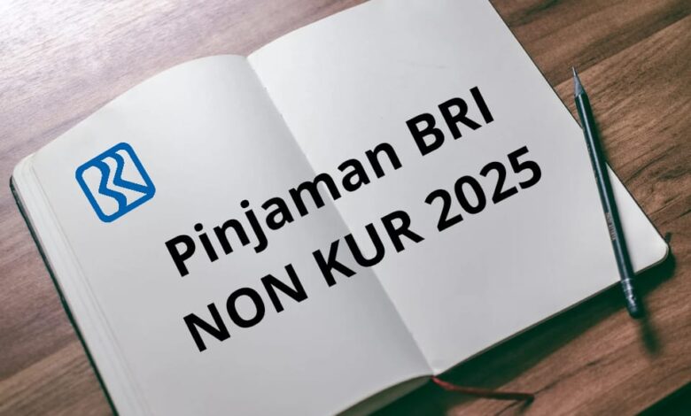 9 Syarat Penting Agar Pinjaman Non KUR BRI 2025 Disetujui Rp50 Juta