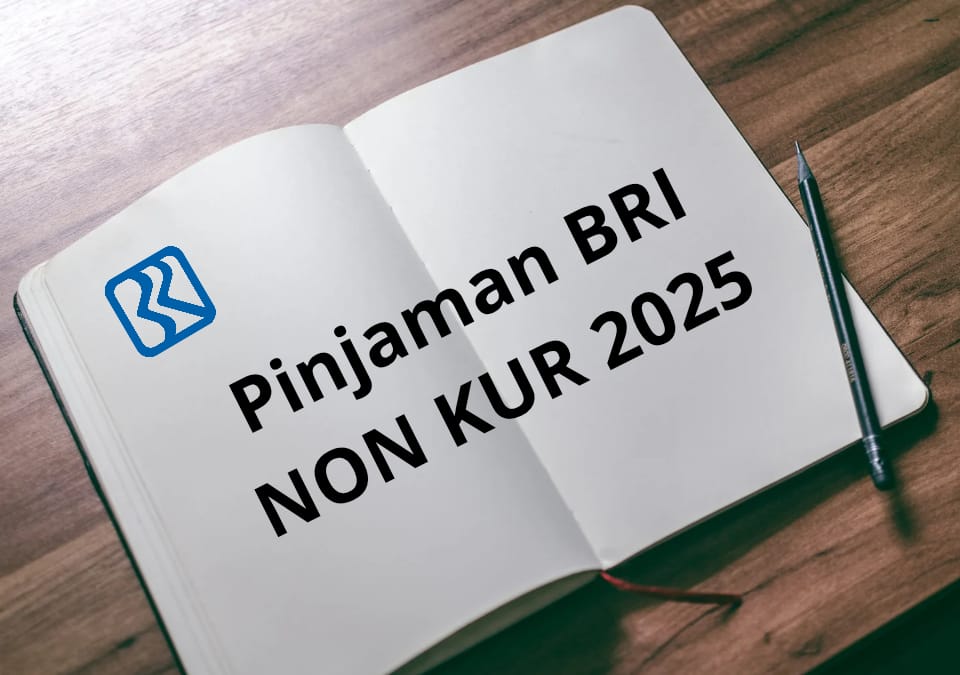 9 Syarat Penting Agar Pinjaman Non KUR BRI 2025 Disetujui Rp50 Juta