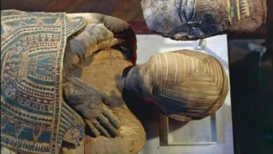 Bongkar Misteri Bashiri: Mumi Mesir yang Ditakuti Arkeolog!