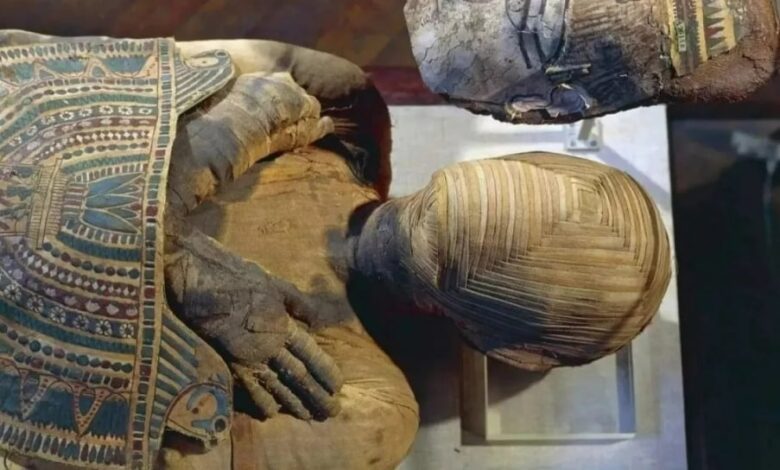 Bongkar Misteri Bashiri: Mumi Mesir yang Ditakuti Arkeolog!