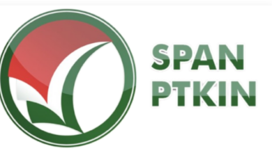 Cara Cek Hasil Pengumuman SPAN PTKIN 2025, Simak Link Resmi!