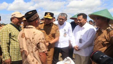 Harga Gabah Rp6.500/Kg, Pemprov Lampung Jamin Kesejahteraan Petani!