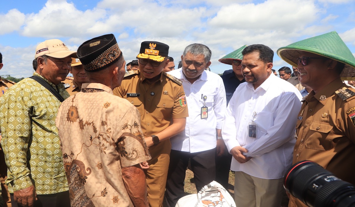 Harga Gabah Rp6.500/Kg, Pemprov Lampung Jamin Kesejahteraan Petani!