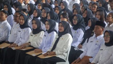 PPPK Paruh Waktu vs Penuh Waktu: Apa yang Honorer Harus Tahu?