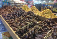 5 Daerah Terbaik Penghasil Kurma di Indonesia yang Wajib Diketahui