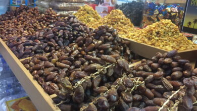 5 Daerah Terbaik Penghasil Kurma di Indonesia yang Wajib Diketahui
