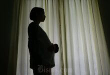 5 Manfaat Buah Rasberi untuk Ibu Hamil yang Wajib Diketahui!