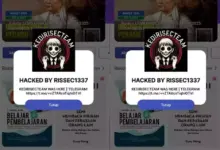 Aplikasi iPusnas Diretas, Hacker Ungkap Indonesia Terjebak Kegelapan