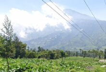 Awas! Cuaca Ekstrem dan Rob Melanda Pantura Jateng, 4 Mei