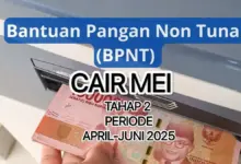 Daftar Bansos yang Cair Mei 2025: Simak Informasinya Sekarang!