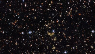 Gambar Baru JWST: Pesta Galaksi Menakjubkan di COSMOS-Web!
