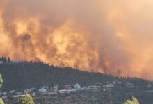 Kebakaran Hutan Dahsyat Melanda Israel, Warga Panik Menyelamatkan Diri