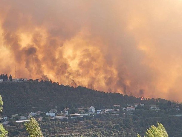 Kebakaran Hutan Dahsyat Melanda Israel, Warga Panik Menyelamatkan Diri