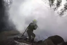Kebakaran Hutan Dekat Yerusalem, Israel Butuh Bantuan Dunia Segera!