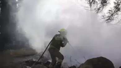 Kebakaran Hutan Dekat Yerusalem, Israel Butuh Bantuan Dunia Segera!