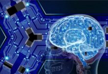Kenali Neurotransmiter: Kunci Fungsi Otak Manusia yang Menakjubkan