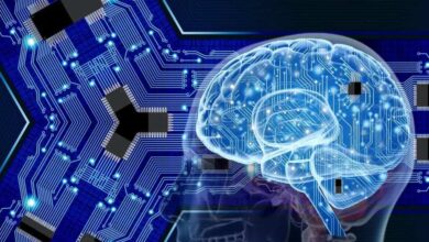 Kenali Neurotransmiter: Kunci Fungsi Otak Manusia yang Menakjubkan
