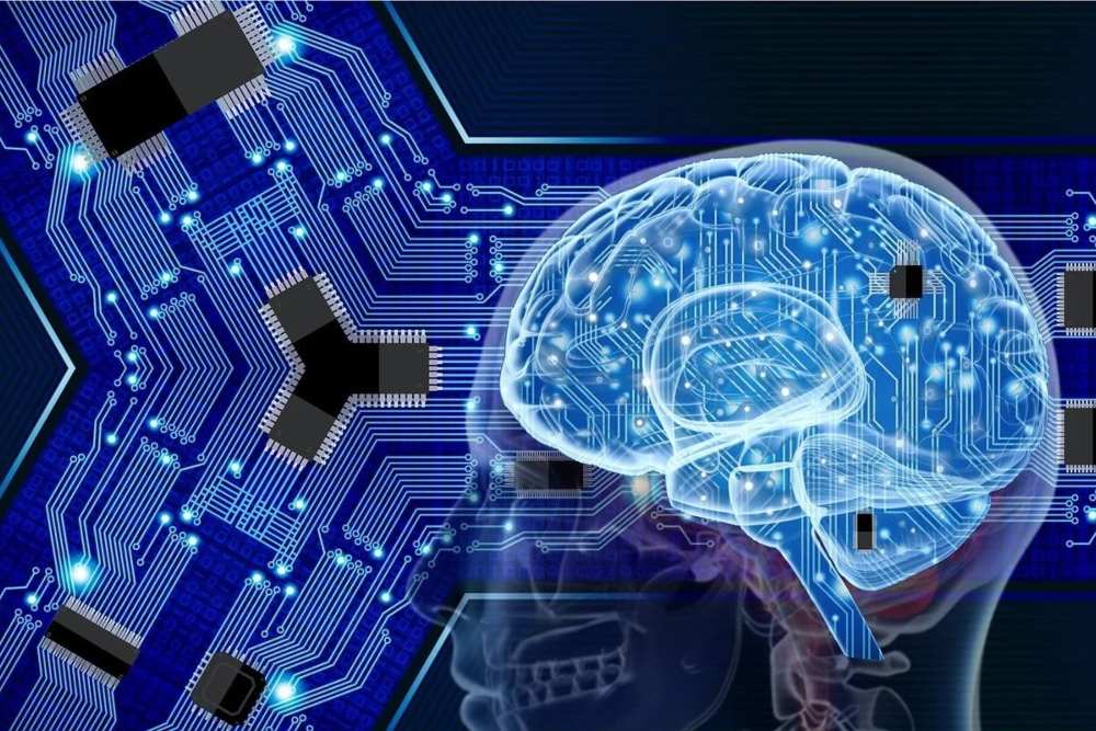Kenali Neurotransmiter: Kunci Fungsi Otak Manusia yang Menakjubkan