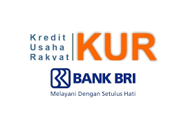 Keuntungan KUR BRI: Temukan Penjelasan Lengkapnya di Sini!