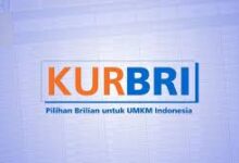 Mau Usaha Berkembang? Begini Cara Ajukan KUR di BRI!